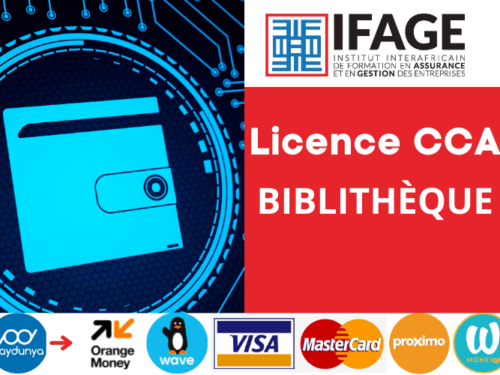 Licence CCA: Bibliothèque